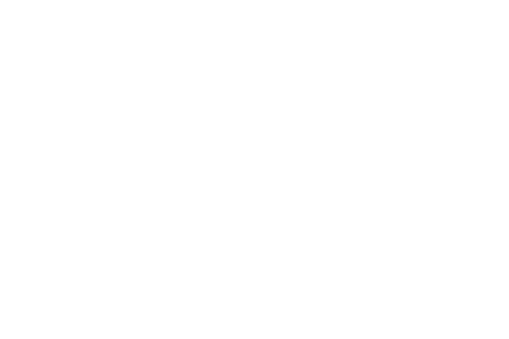 pavani-royale-logo-image-01
